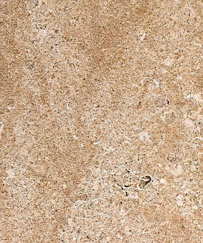 Облицовка Cyniade, в правом углу (RLD)_2 Облицовка Cyniade, в правом углу (RLD)_2